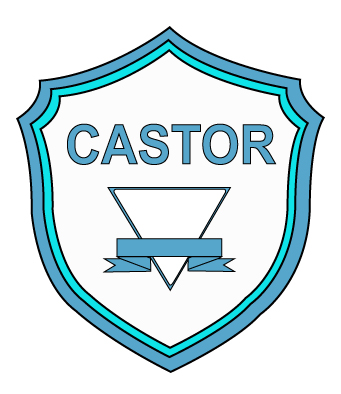 Logo ONG Castor International